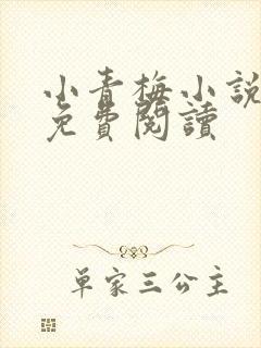 小青梅小说全文免费阅读