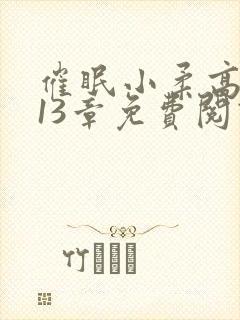 催眠小柔高达第13章免费阅读