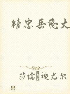 精忠岳飞大结局