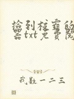 捡到校霸的遥控器txt免费阅读by阳阳