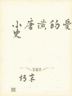 小唐璜的爱情历史