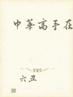 中华高手在异世