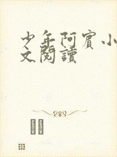 少年阿宾小说全文阅读