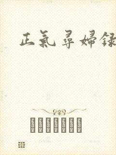 正气寻妇录