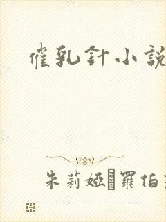 催乳针小说