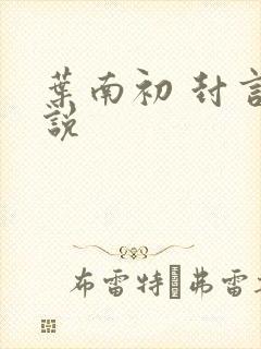 叶南初 封言小说