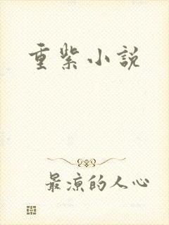 重紫小说