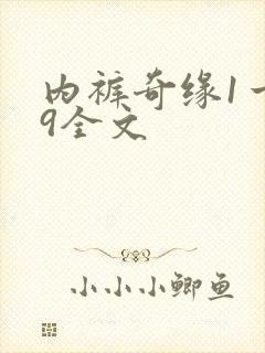 内裤奇缘1一39全文