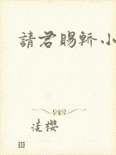 请君赐轿小说封面