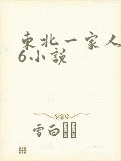 东北一家人1一6小说