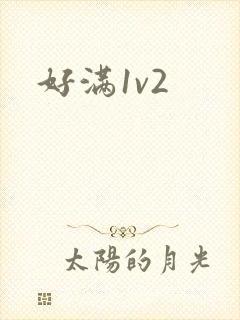 好满1v2