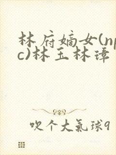 林府嫡女(npc)林玉林璋