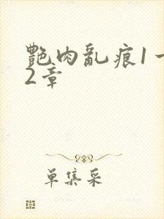 艳肉乱痕1一12章