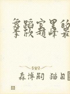 舞蹈室里的景色李欣赵峰最新章节