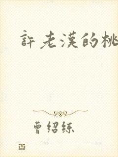 许老汉的桃花运