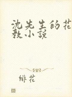 沈先生的花式调教小说