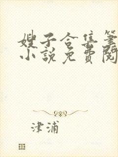 嫂子合集笔趣阁小说免费阅读