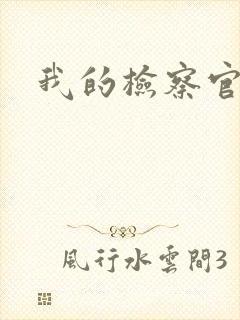 我的检察官先生