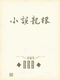 小说龙根