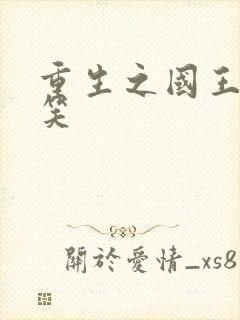 重生之国王的微笑