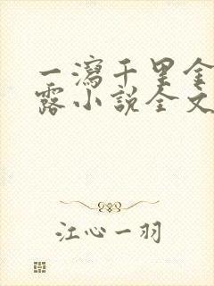 一泻千里金银花露小说全文免费阅读