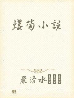 爆菊小说