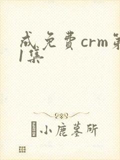 成免费crm第1集