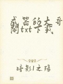 成器的大哥笔趣阁txt下载