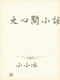 文心阁小说