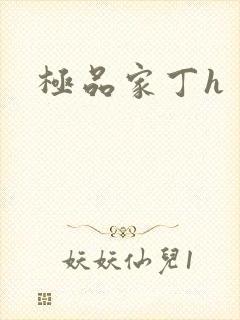 极品家丁h