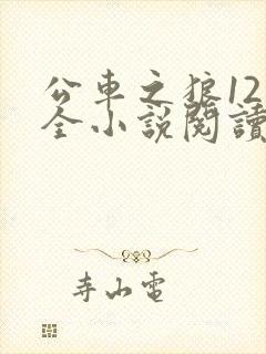 公车之狼12集全小说阅读