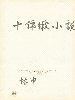 十锦缎小说