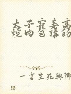 太子宠妾高肉红烧肉包讲的什么