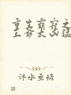 重生霸宠之摄政王爷太凶猛