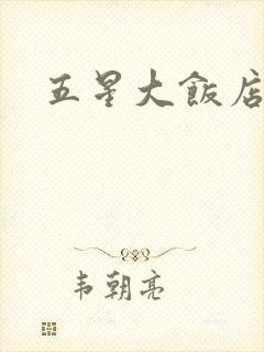 五星大饭店小说