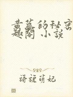 黄蓉的秘密 笔趣阁 小说