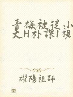 青梅被从小摸到大H补课1视频