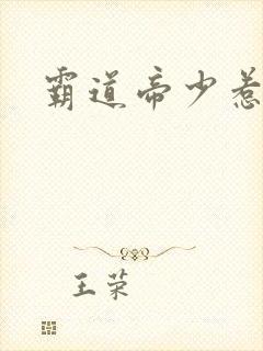 霸道帝少惹不得