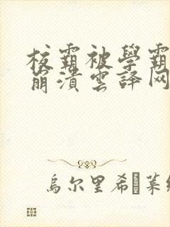 校霸被学霸玩到崩溃云译网