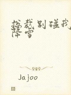 总裁别碰我 韩降雪