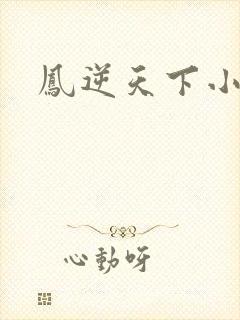 凤逆天下小说