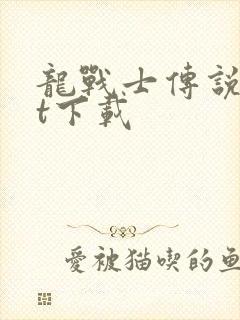 龙战士传说txt下载