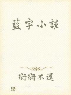 蓝宇小说
