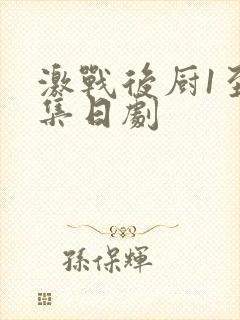 激战后厨1至5集日剧