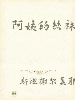 阿姨的丝袜小说