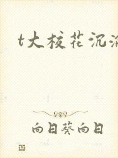 t大校花沉沦