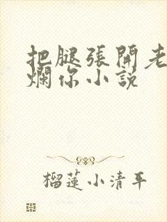 把腿张开老子臊烂你小说