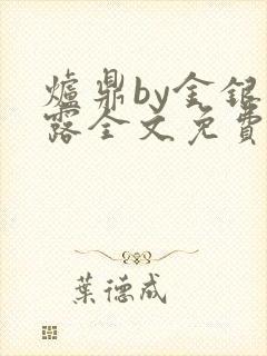 炉鼎by金银花露全文免费阅读笔趣阁