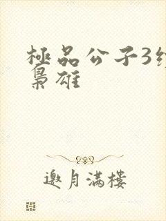 极品公子3续世枭雄