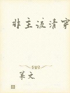 非主流清穿